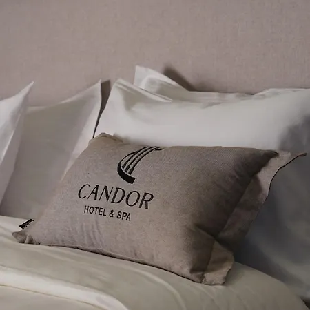 Hotel Candor Hotel&spa