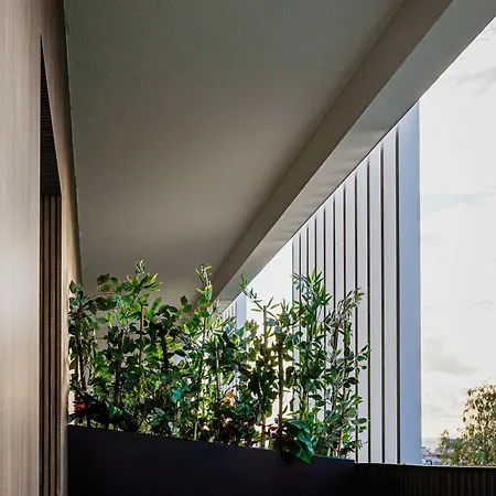 Candor Hotel&spa Hotel